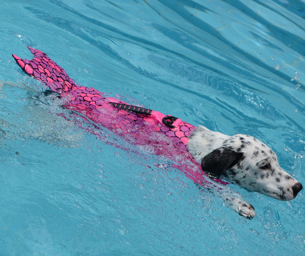 Aquatic Adjustable Life Vest for Dogs