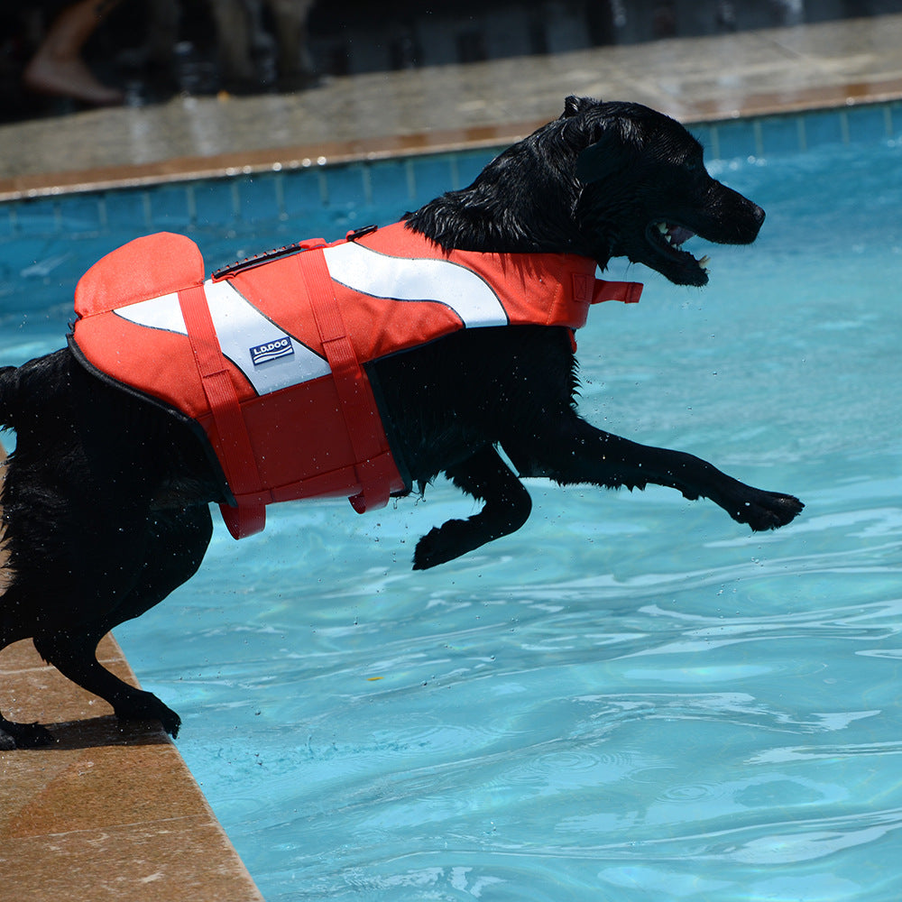 Aquatic Adjustable Life Vest for Dogs