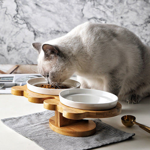 Dual Stand Ceramic Cat Bowls