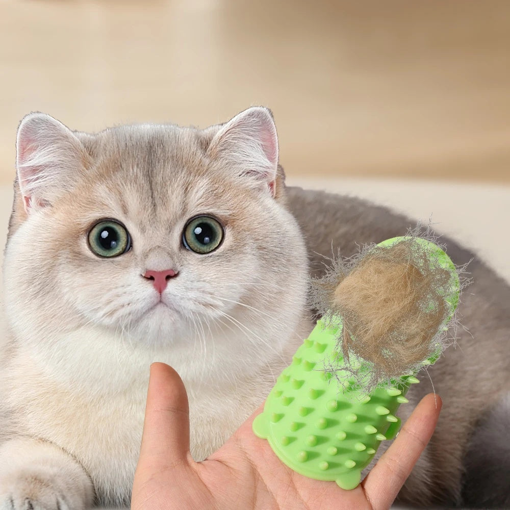 Shedding/Massage Comb and Scratch Post